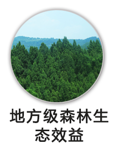 地方公益林森林生态效益补偿基金