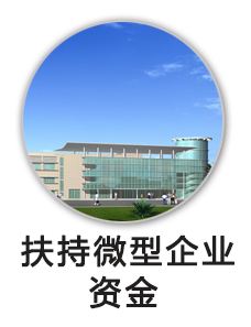 微型企业扶持