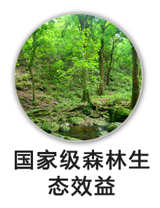 森林生态效益补偿