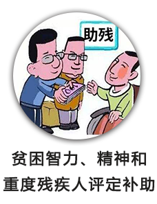 贫困智力、精神和重度残疾人评定补助