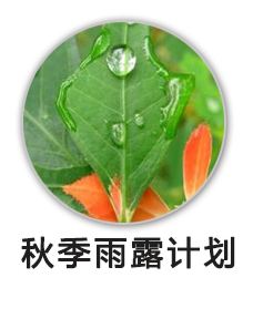 雨露计划
