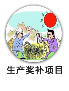 生产奖补项目
