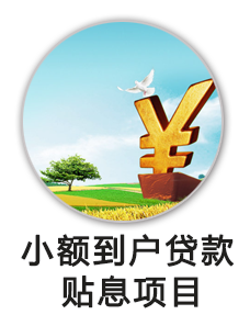 扶贫小额贴息贷款
