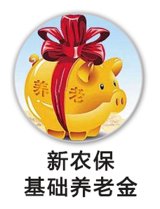 新农保基础养老金