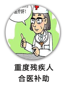 重度残疾人合医补助