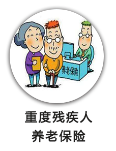 重度残疾人养老保险