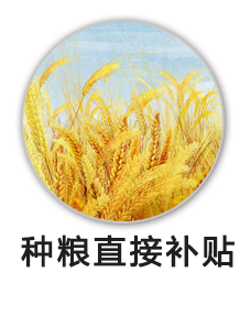 种粮直补