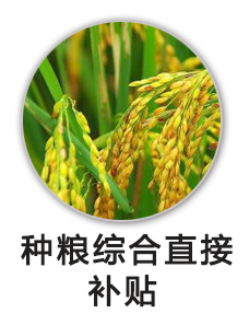 农资综合补贴