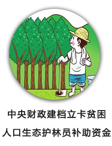 中央财政建档立卡贫困人口生态护林员补助资金